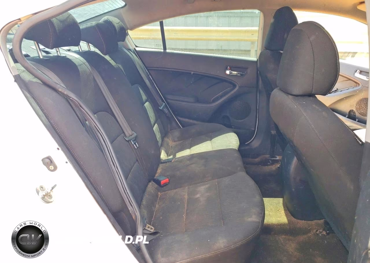 2016 Kia Forte Lx VIN:KNAFK4A66G5509177 - 10