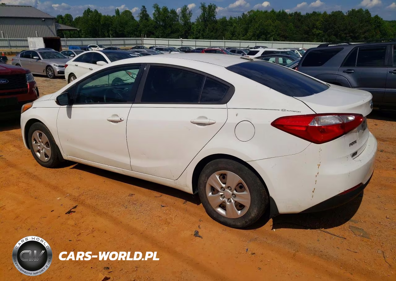 2016 Kia Forte Lx VIN:KNAFK4A66G5509177 - 2