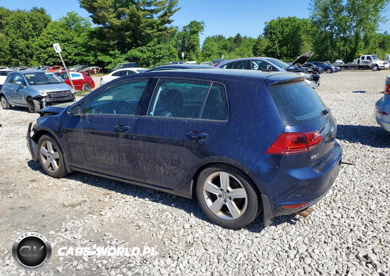 2017 Volkswagen Golf S VIN:3VW217AU4HM009371 - 2