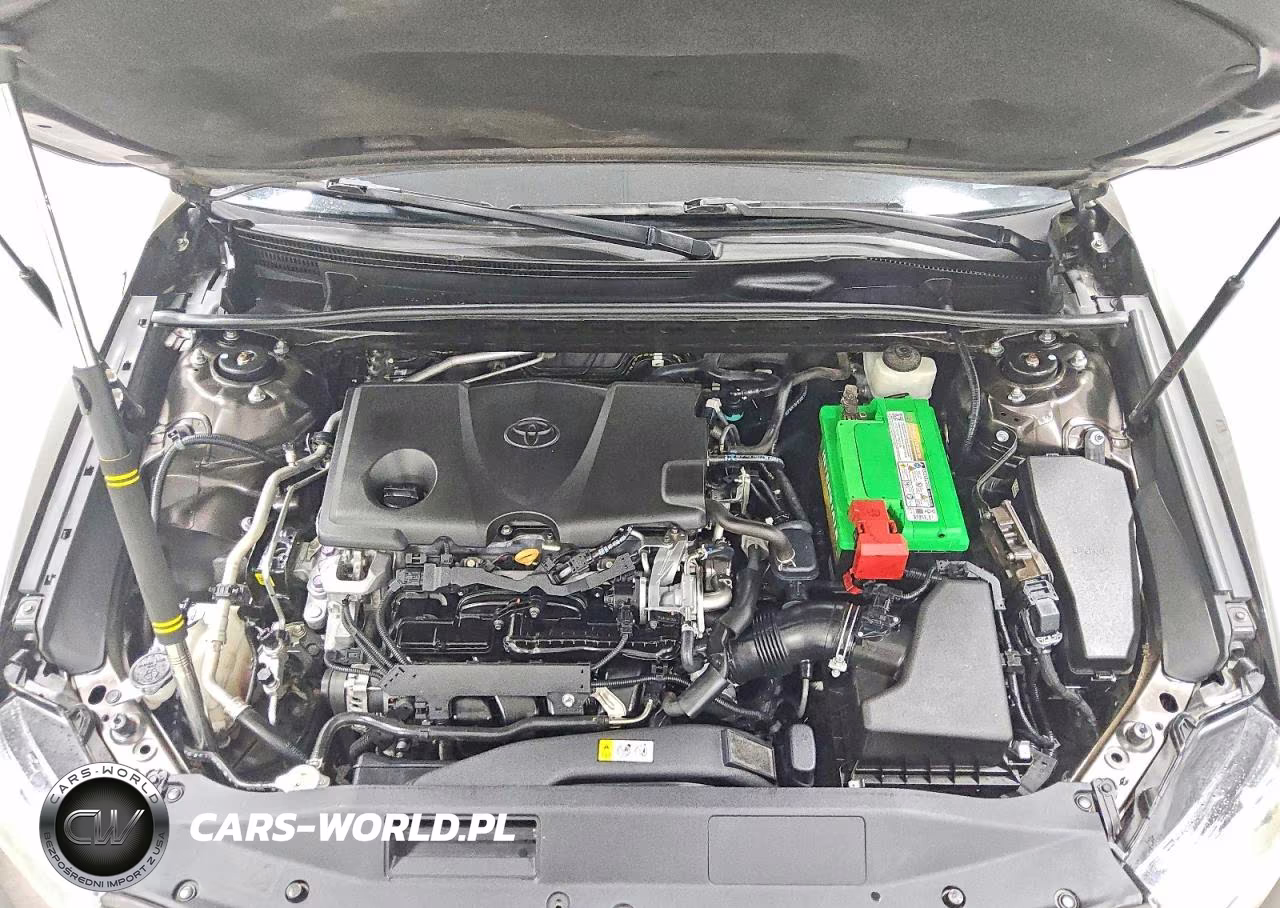 2019 Toyota Camry Le VIN:4T1B11HK3KU812319 - 11