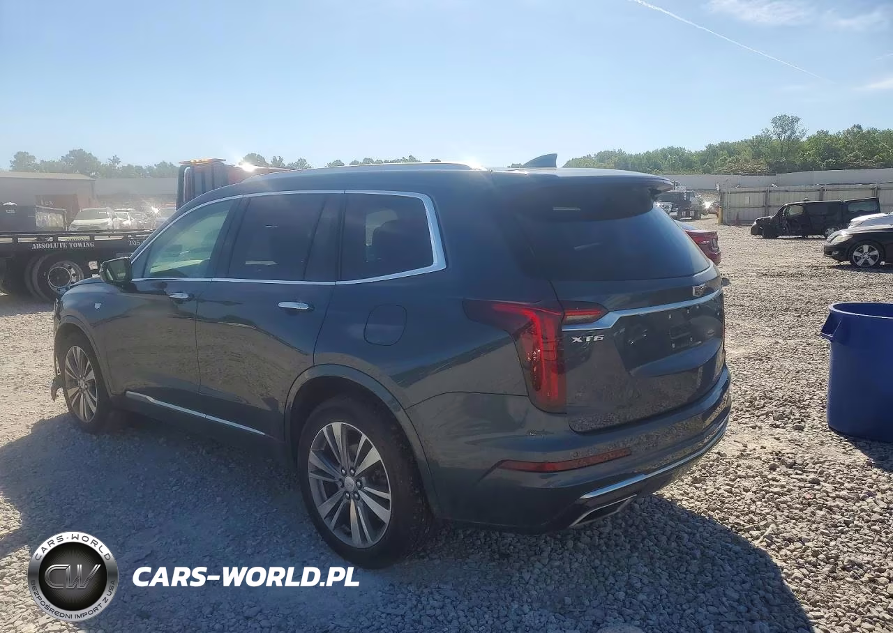 2020 Cadillac Xt6 Premium Luxury VIN:1GYKPCRSXLZ131831 - 2
