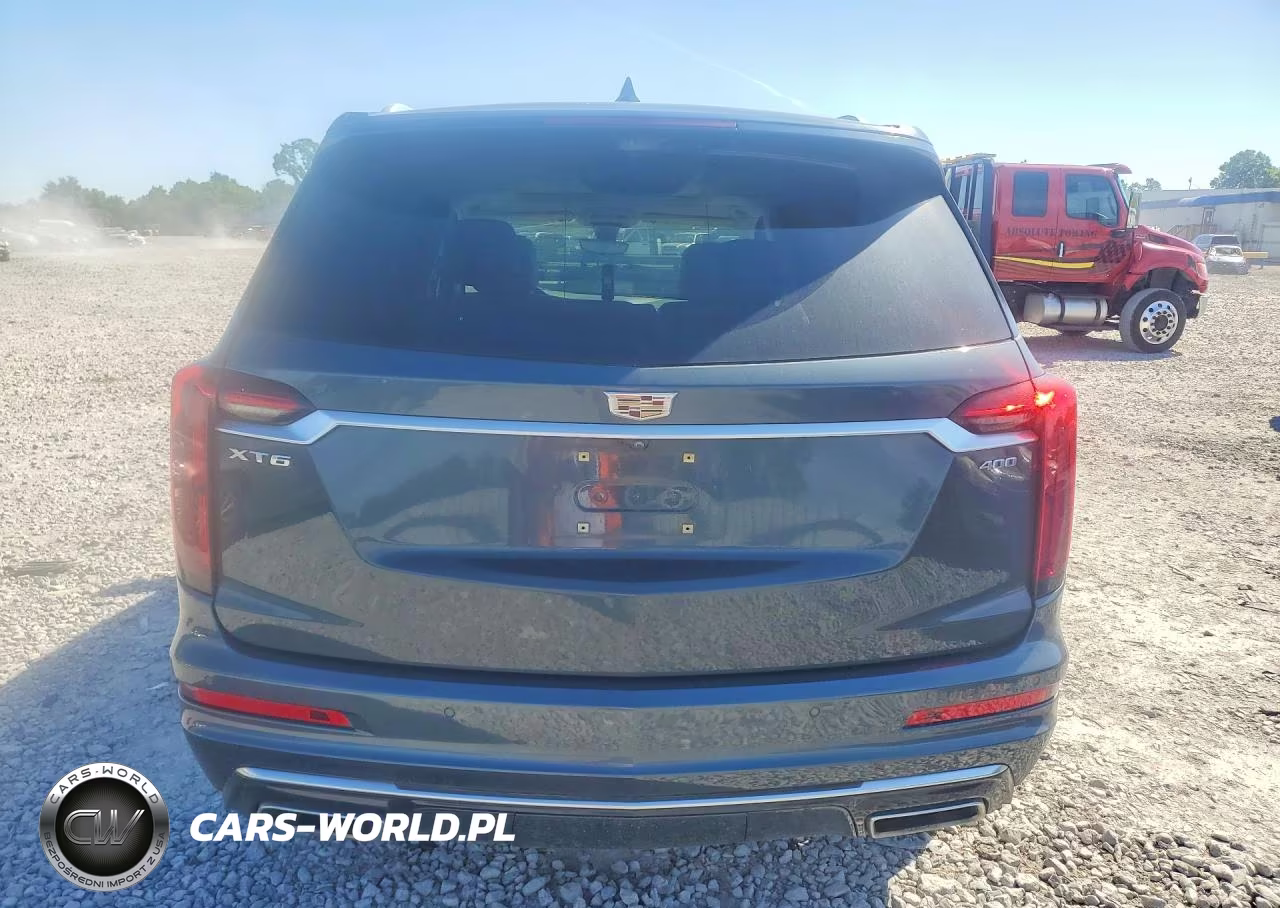 2020 Cadillac Xt6 Premium Luxury VIN:1GYKPCRSXLZ131831 - 6