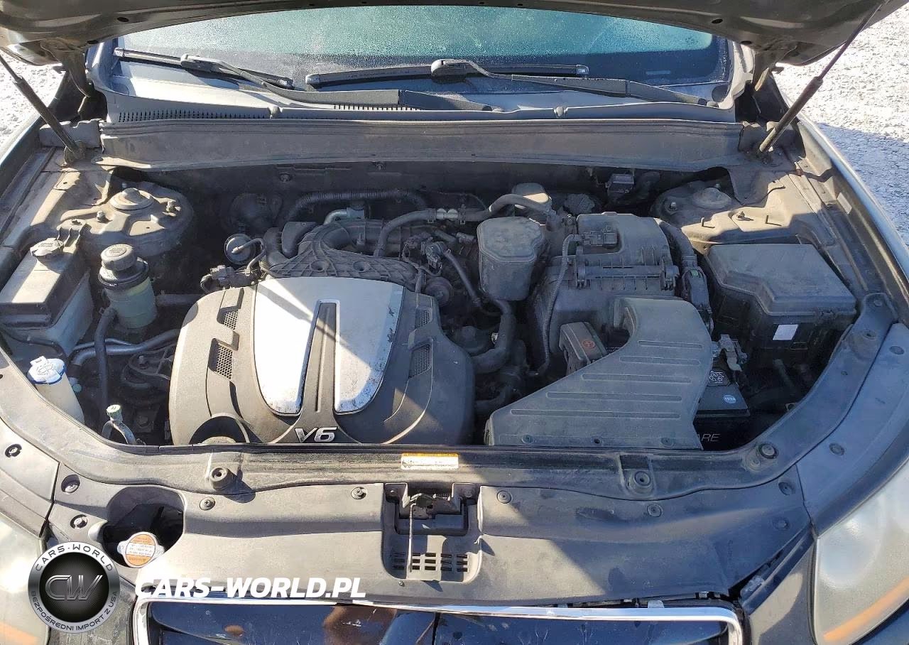 2010 Hyundai Santa Fe Se VIN:5NMSH4AGXAH357594 - 12