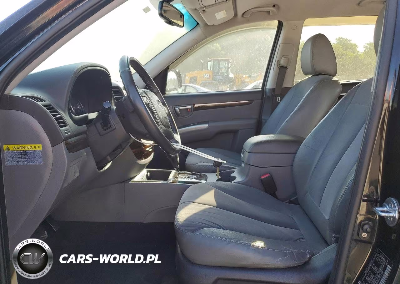2010 Hyundai Santa Fe Se VIN:5NMSH4AGXAH357594 - 7