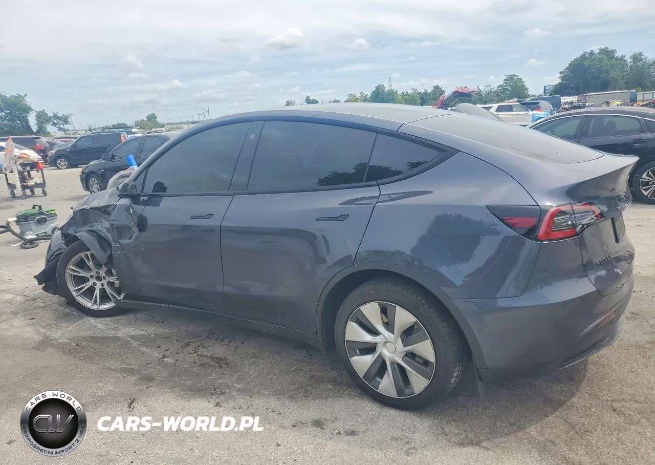 2022 Tesla Model Y VIN:7SAYGDEE1NA003282 - 2