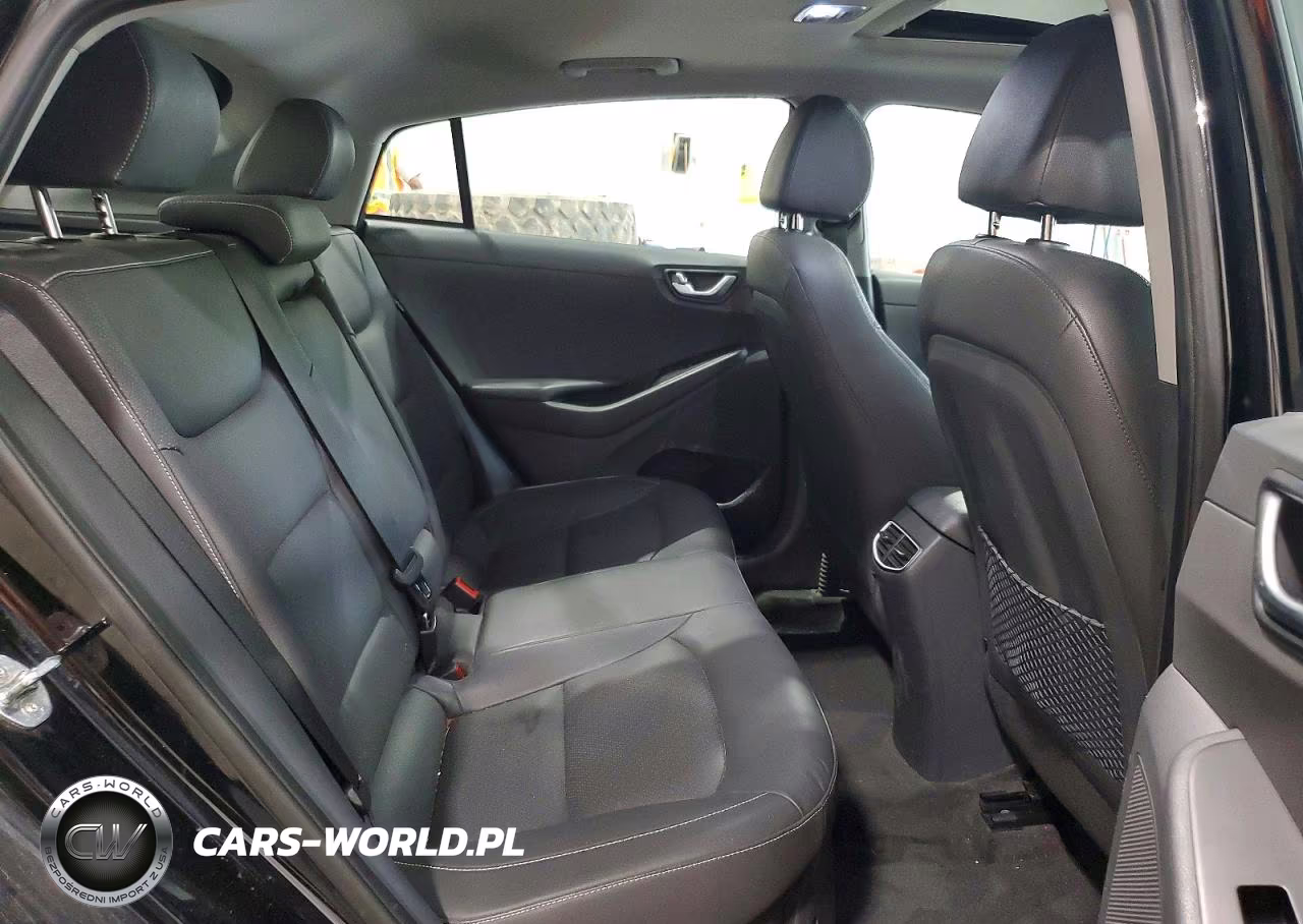2019 Hyundai Ioniq Limited VIN:KMHC05LCXKU124753 - 10
