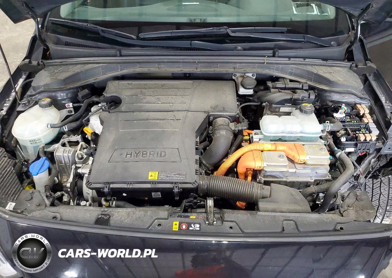 2019 Hyundai Ioniq Limited VIN:KMHC05LCXKU124753 - 11