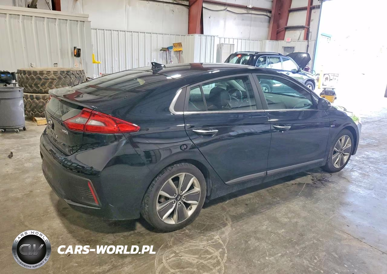 2019 Hyundai Ioniq Limited VIN:KMHC05LCXKU124753 - 3