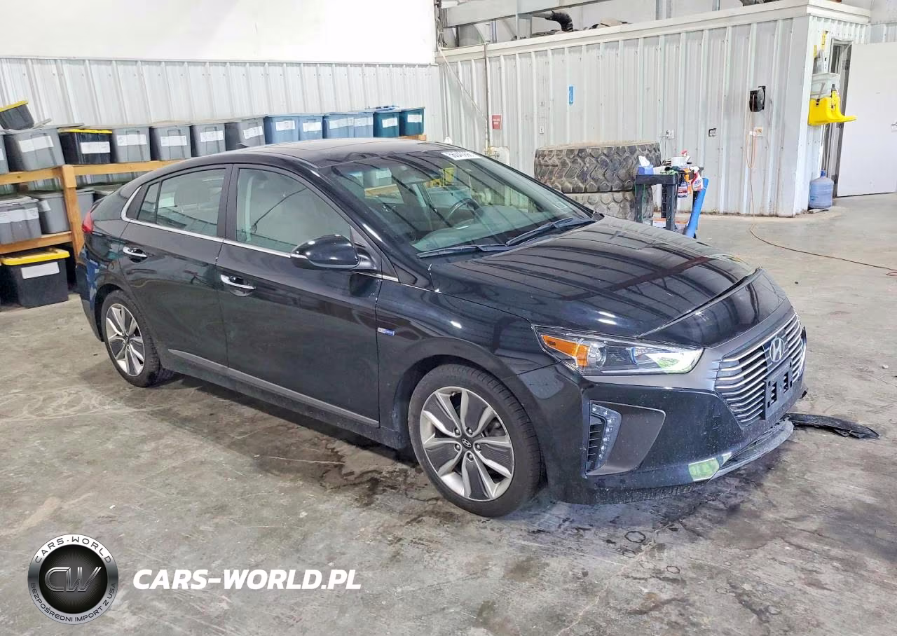 2019 Hyundai Ioniq Limited VIN:KMHC05LCXKU124753 - 4