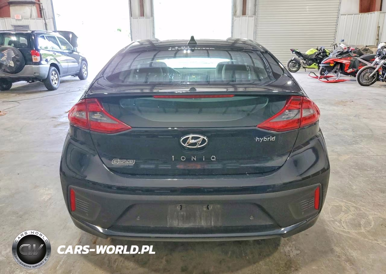 2019 Hyundai Ioniq Limited VIN:KMHC05LCXKU124753 - 6