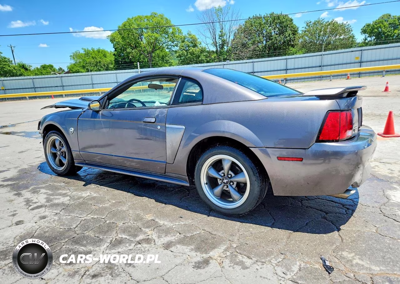 2004 Ford Mustang Gt VIN:1FAFP42X94F184029 - 2