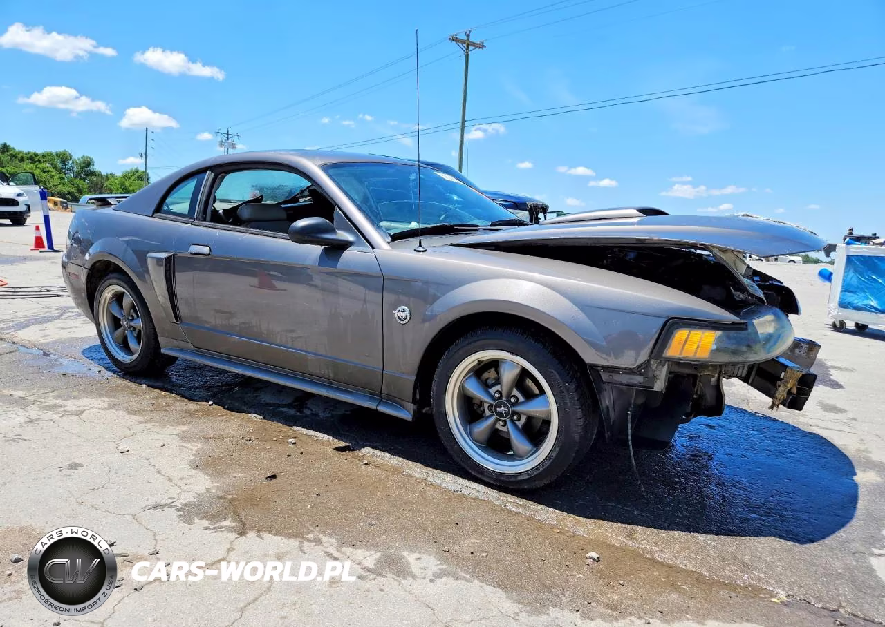 2004 Ford Mustang Gt VIN:1FAFP42X94F184029 - 4