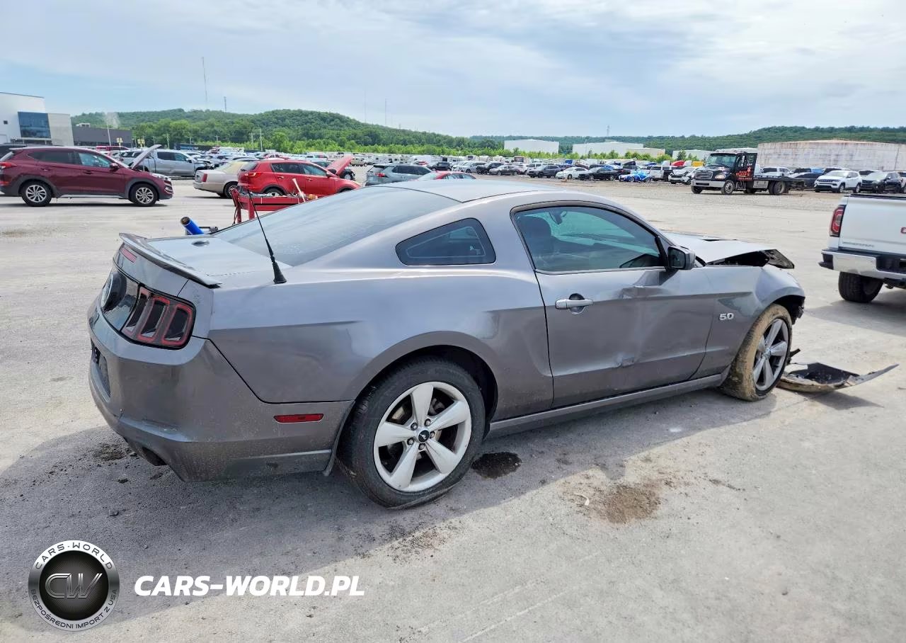 2014 Ford Mustang Gt VIN:1ZVBP8CF5E5316102 - 3