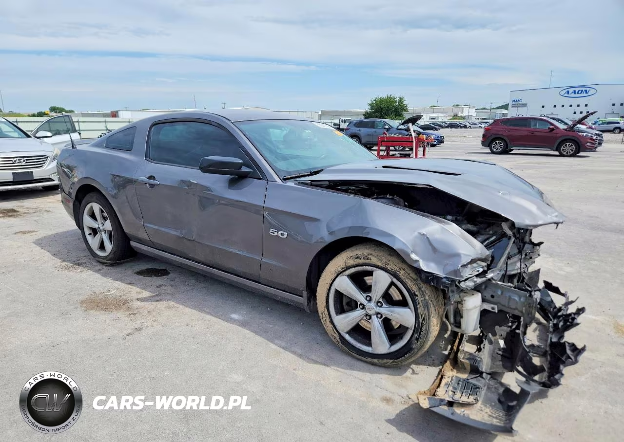 2014 Ford Mustang Gt VIN:1ZVBP8CF5E5316102 - 4