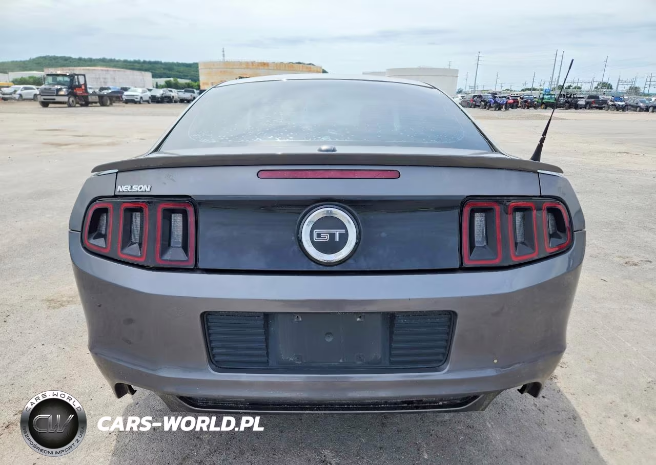 2014 Ford Mustang Gt VIN:1ZVBP8CF5E5316102 - 6