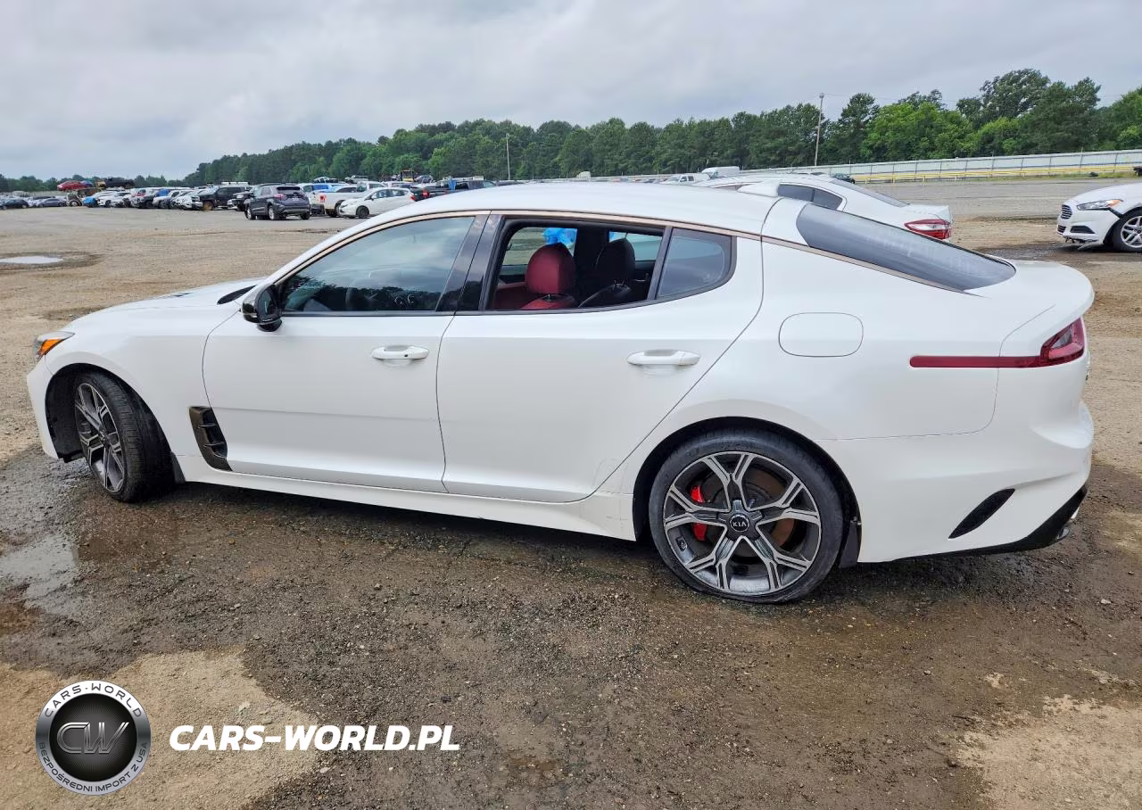 2019 Kia Stinger Gt VIN:KNAE35LC6K6045327 - 2