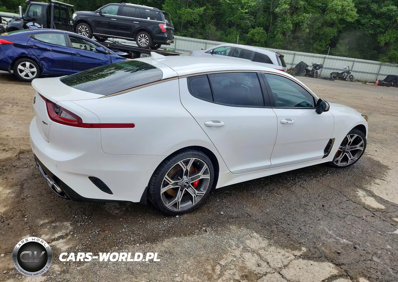 2019 Kia Stinger Gt VIN:KNAE35LC6K6045327 - 3
