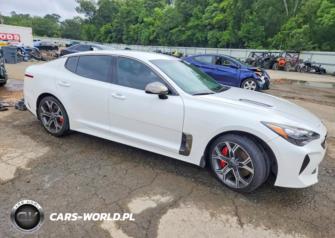 2019 Kia Stinger Gt VIN:KNAE35LC6K6045327 - 4