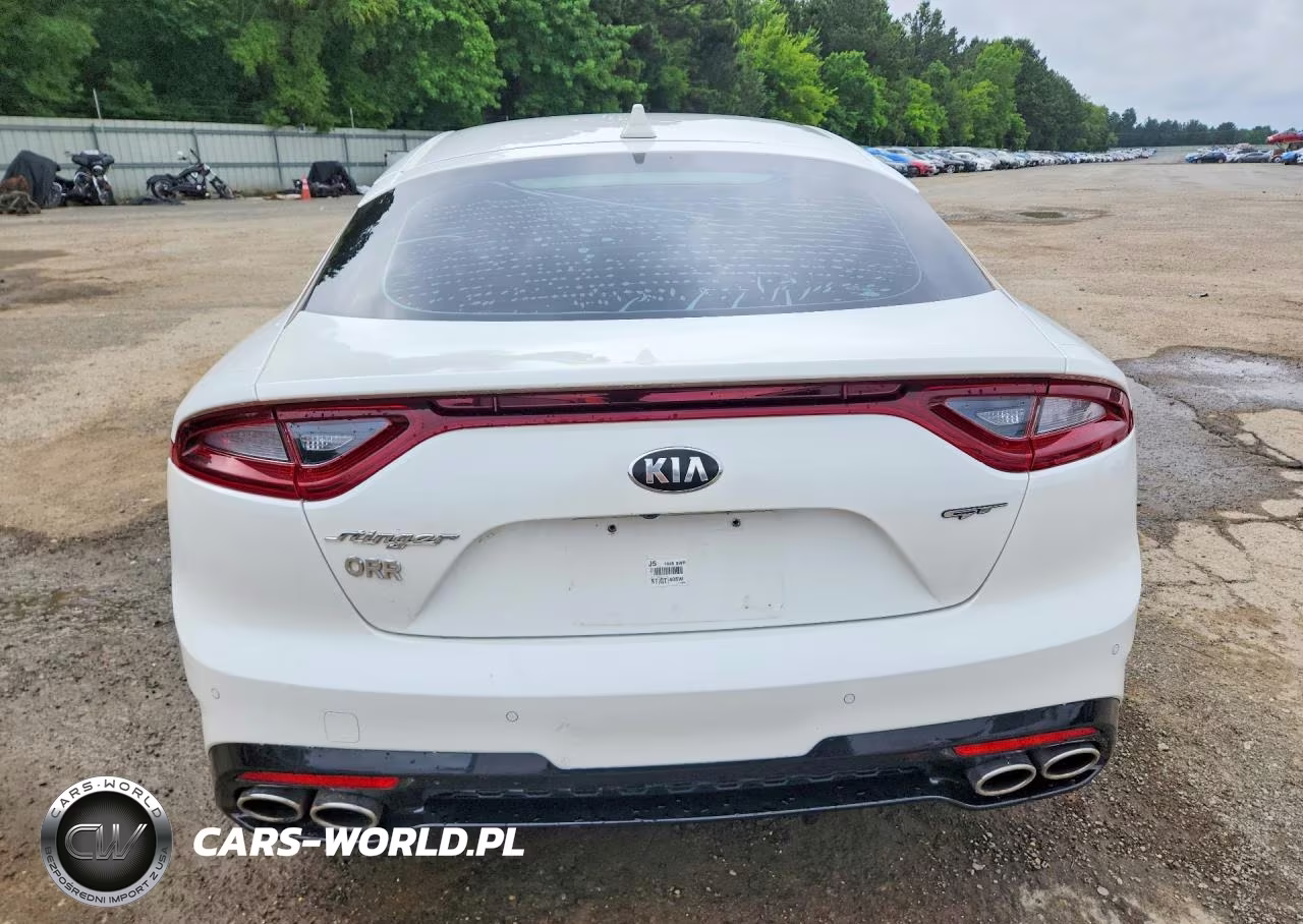 2019 Kia Stinger Gt VIN:KNAE35LC6K6045327 - 6