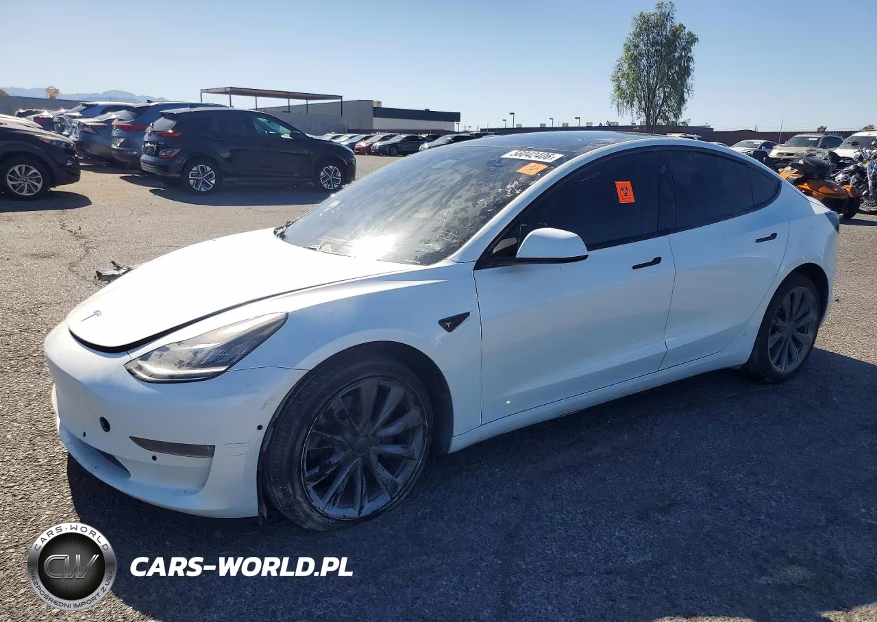 2019 Tesla Model 3