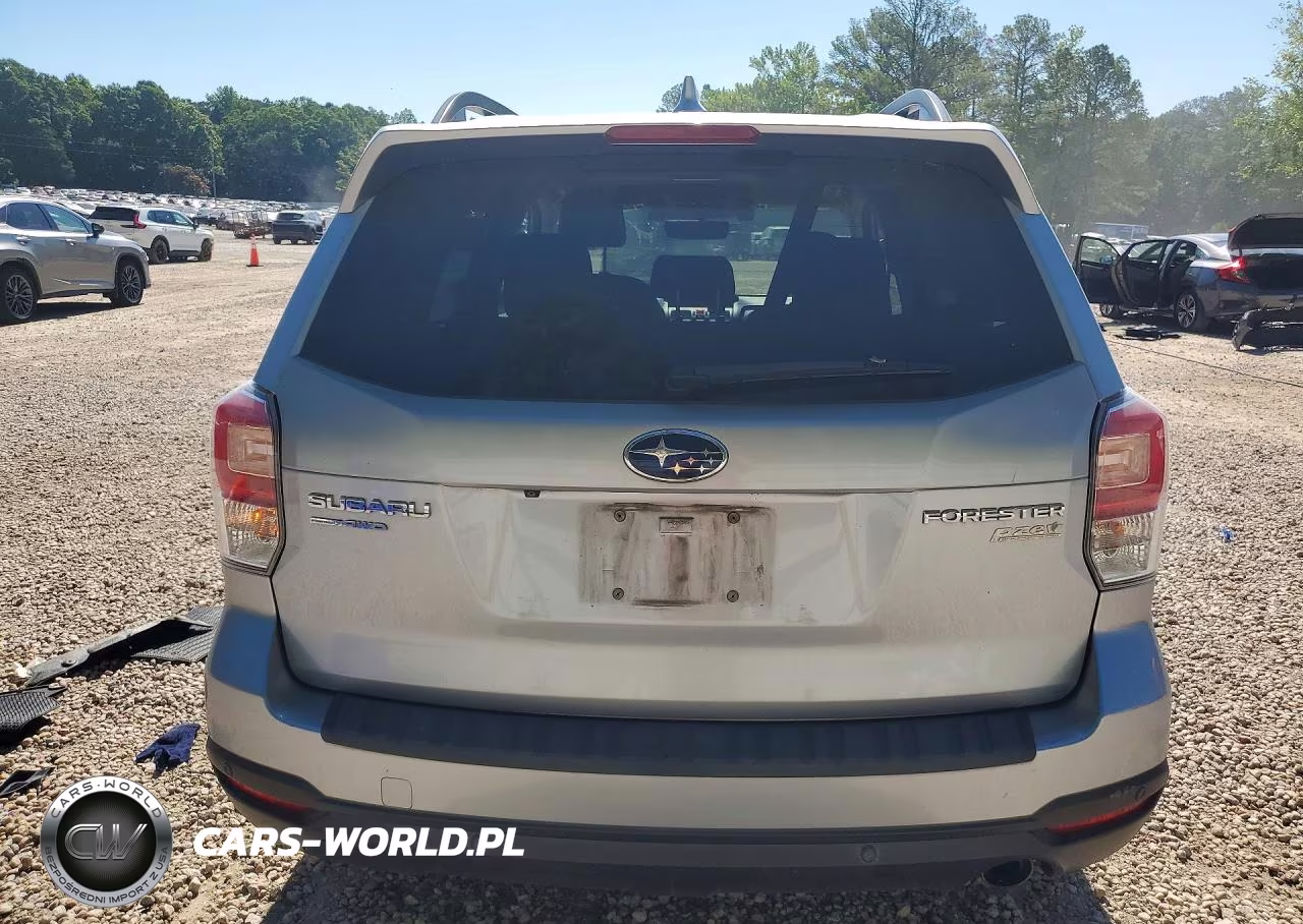 2017 Subaru Forester 2.5I Touring VIN:JF2SJAWC2HH426705 - 6