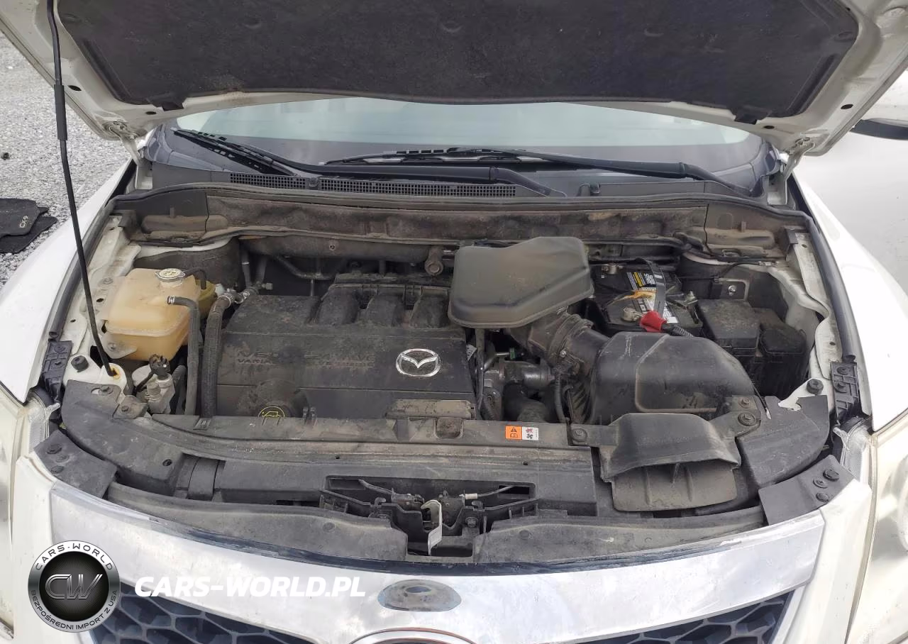 2011 Mazda Cx-9 VIN:JM3TB2DA2B0314913 - 12