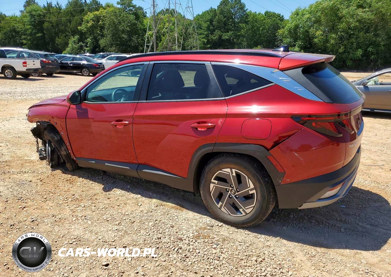 2025 Hyundai Tucson Blue VIN:KM8JBDD11SU259550 - 2