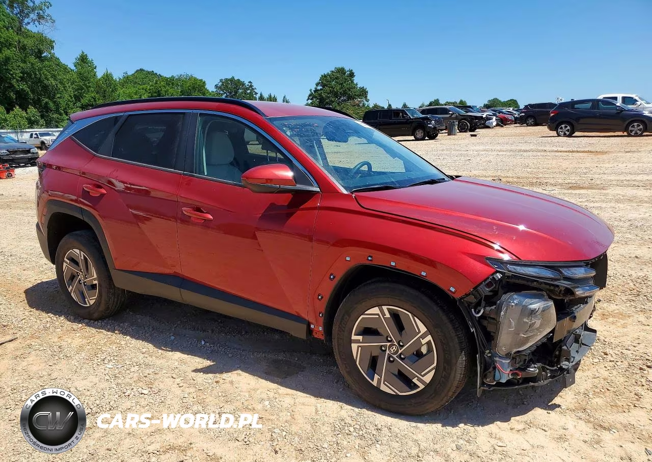 2025 Hyundai Tucson Blue VIN:KM8JBDD11SU259550 - 4