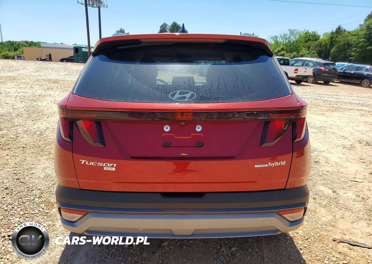2025 Hyundai Tucson Blue VIN:KM8JBDD11SU259550 - 6