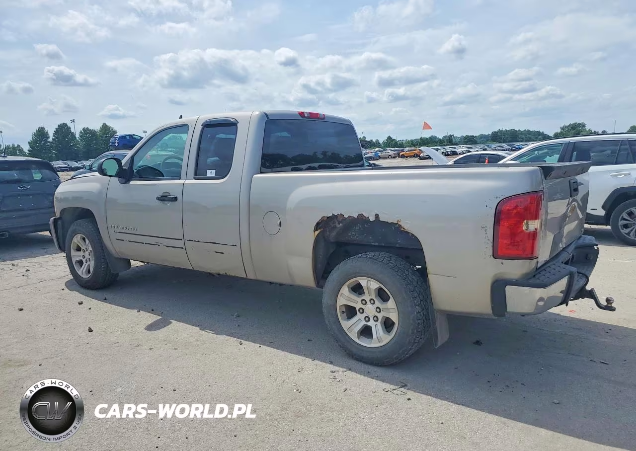 2009 Chevrolet Silverado K1500 VIN:1GCEK19C89Z256950 - 2