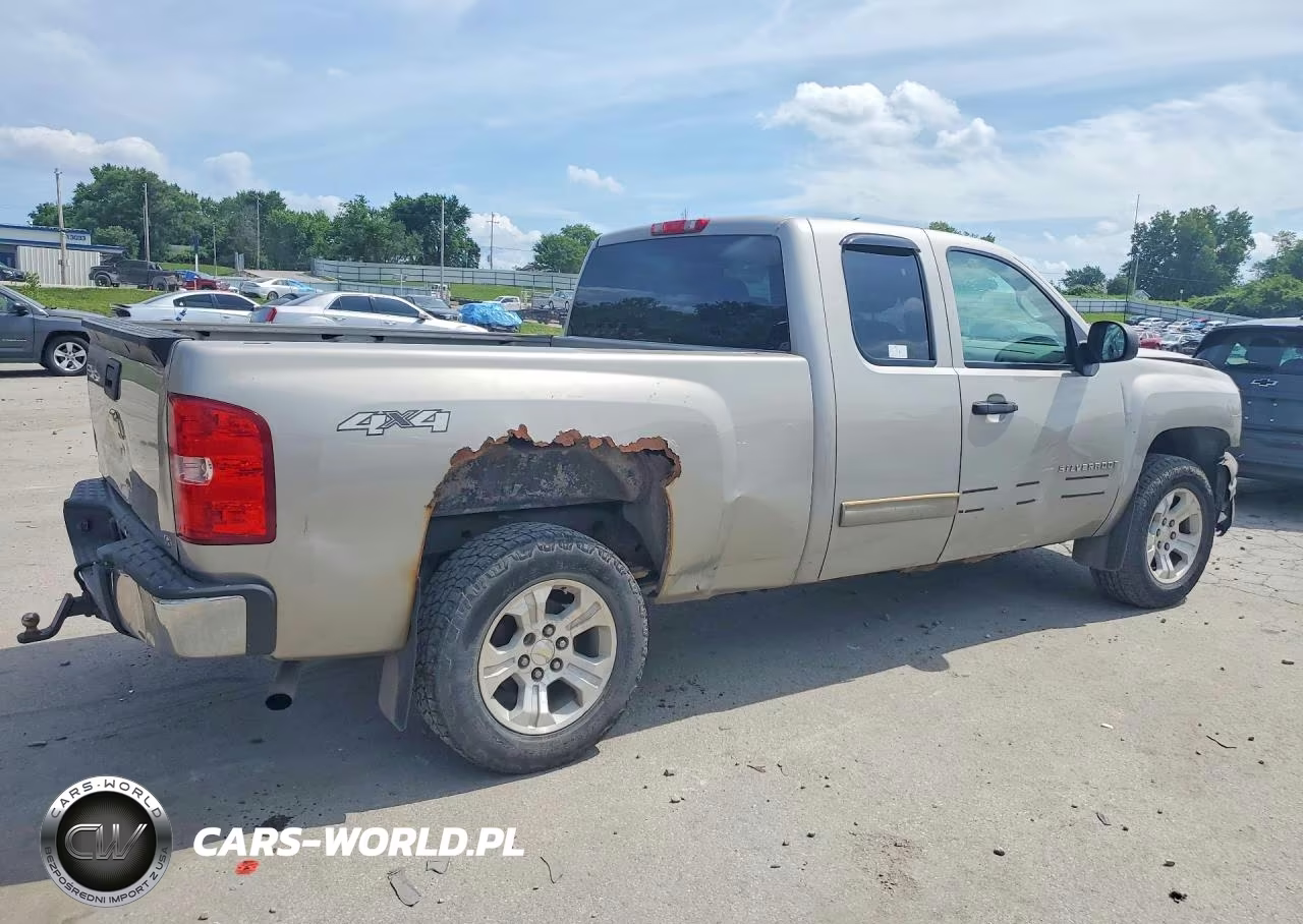 2009 Chevrolet Silverado K1500 VIN:1GCEK19C89Z256950 - 3