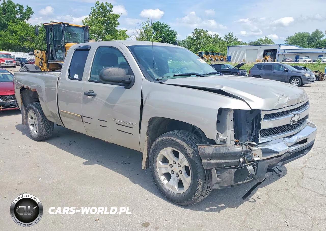 2009 Chevrolet Silverado K1500 VIN:1GCEK19C89Z256950 - 4