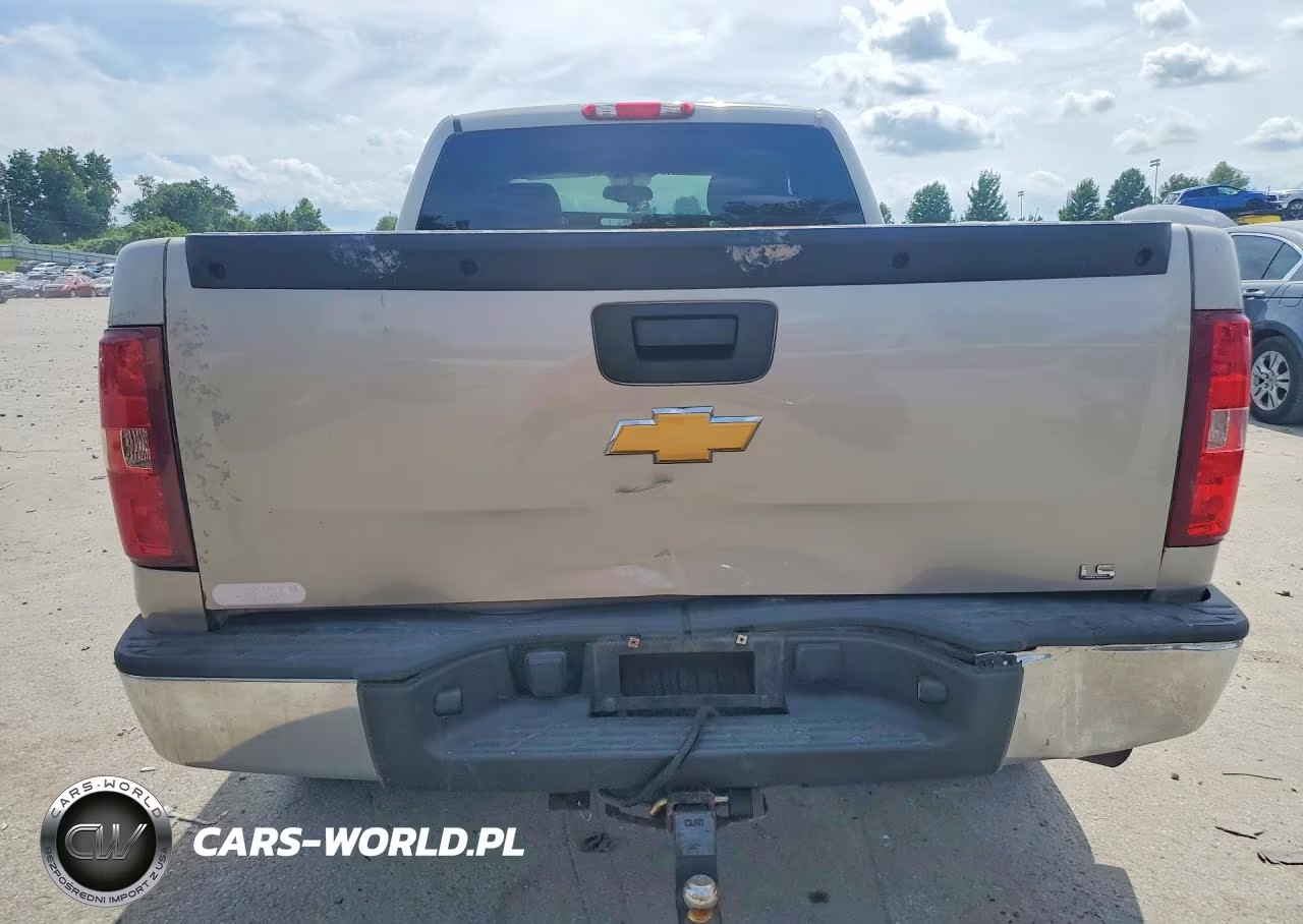 2009 Chevrolet Silverado K1500 VIN:1GCEK19C89Z256950 - 6