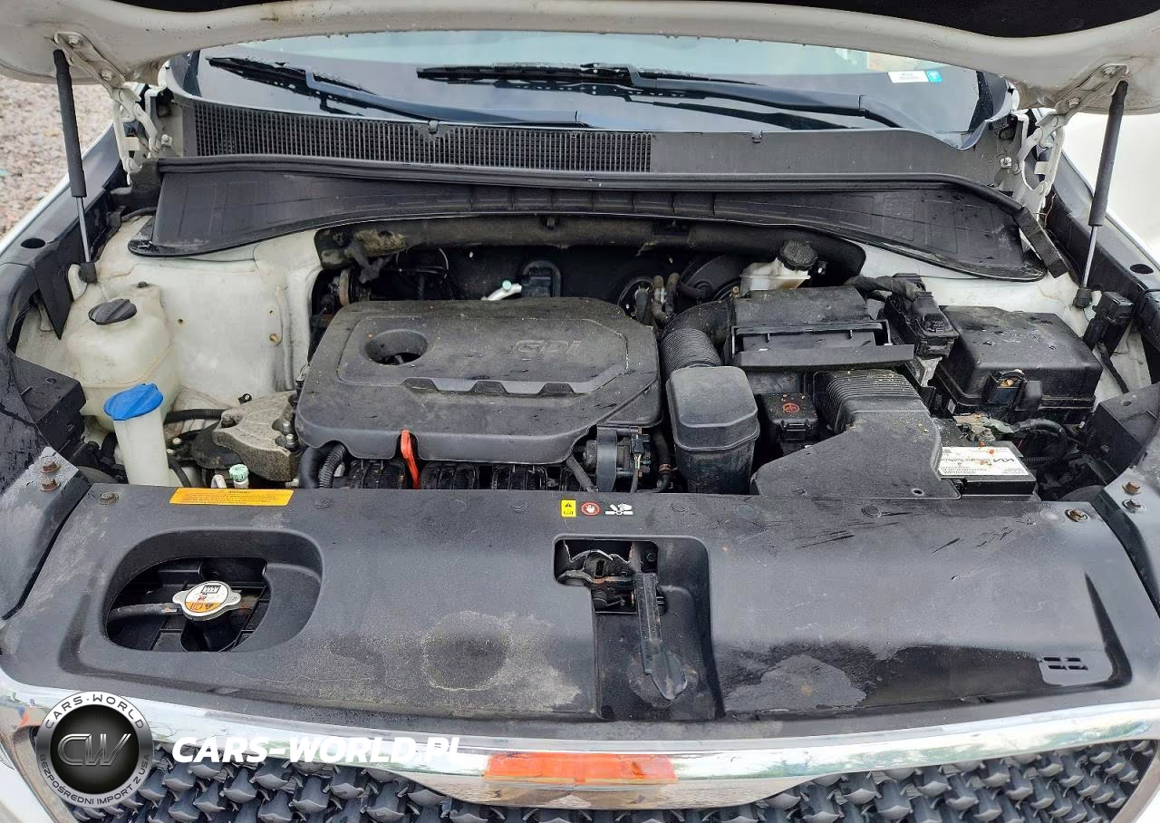 2017 Kia Sorento Lx VIN:5XYPGDA33HG231295 - 12