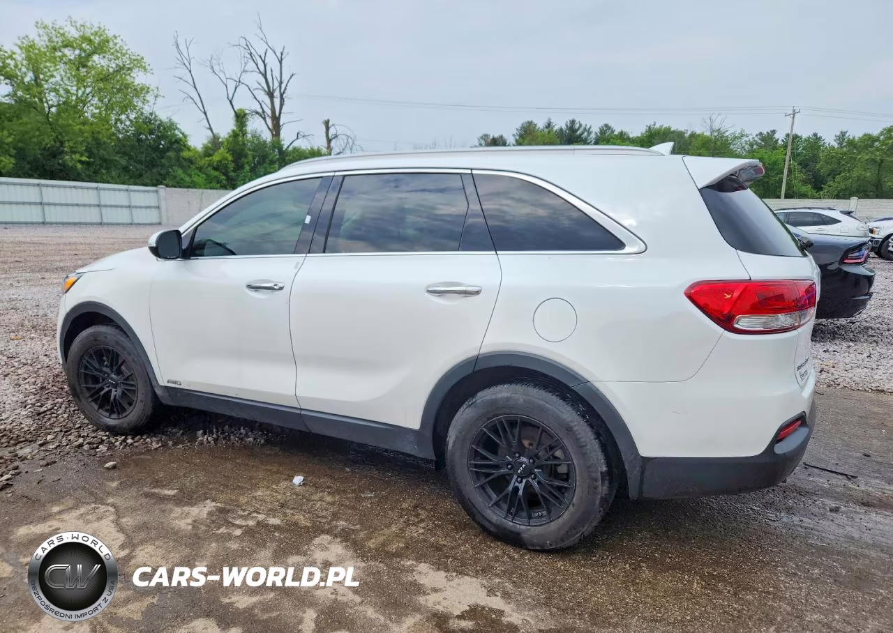 2017 Kia Sorento Lx VIN:5XYPGDA33HG231295 - 2