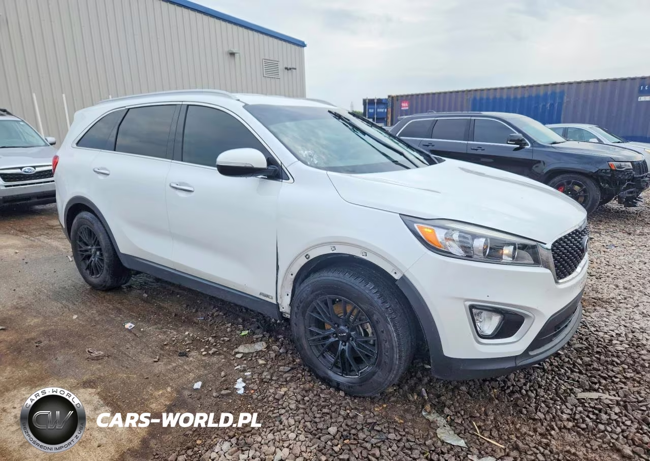 2017 Kia Sorento Lx VIN:5XYPGDA33HG231295 - 4