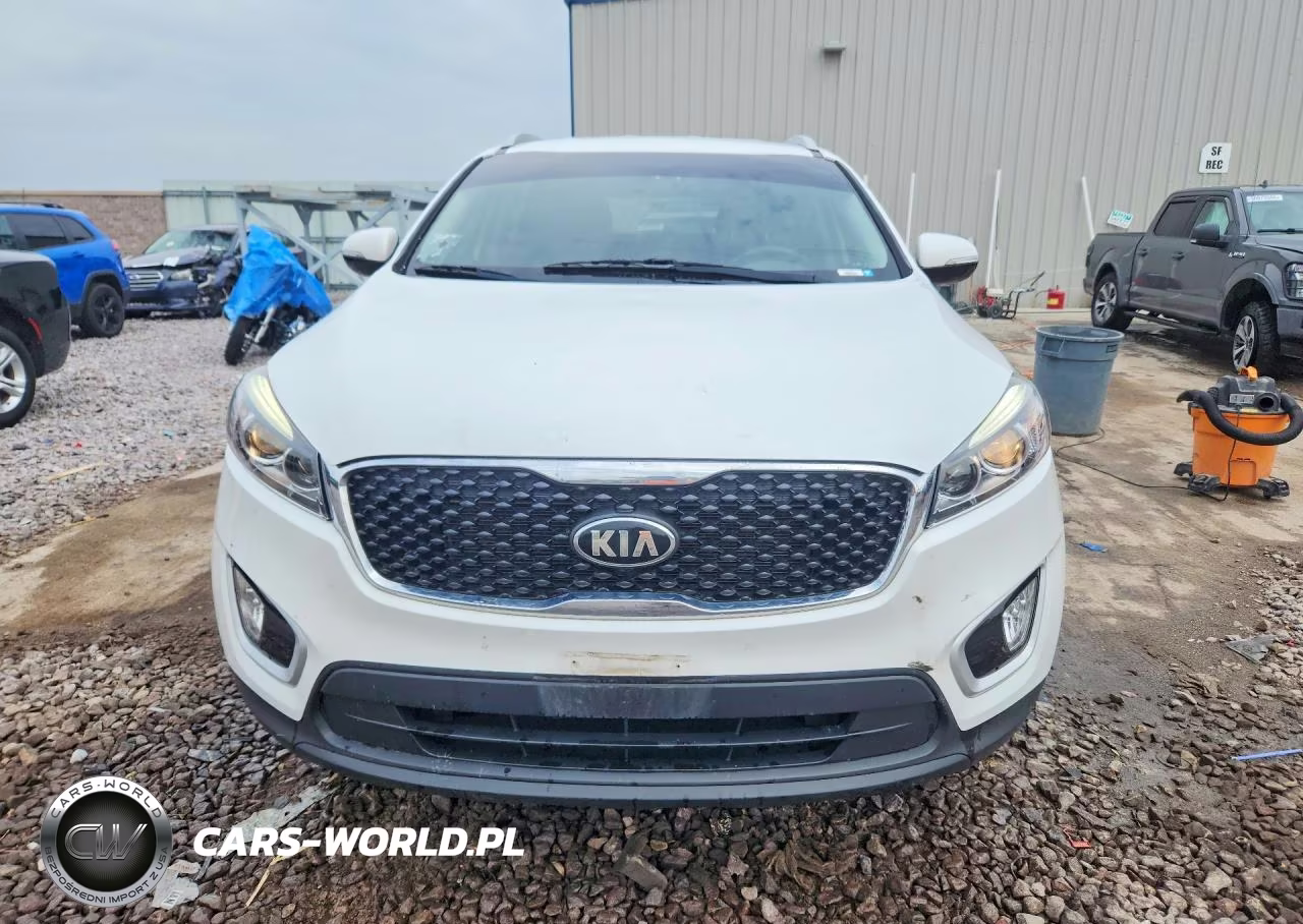 2017 Kia Sorento Lx VIN:5XYPGDA33HG231295 - 5