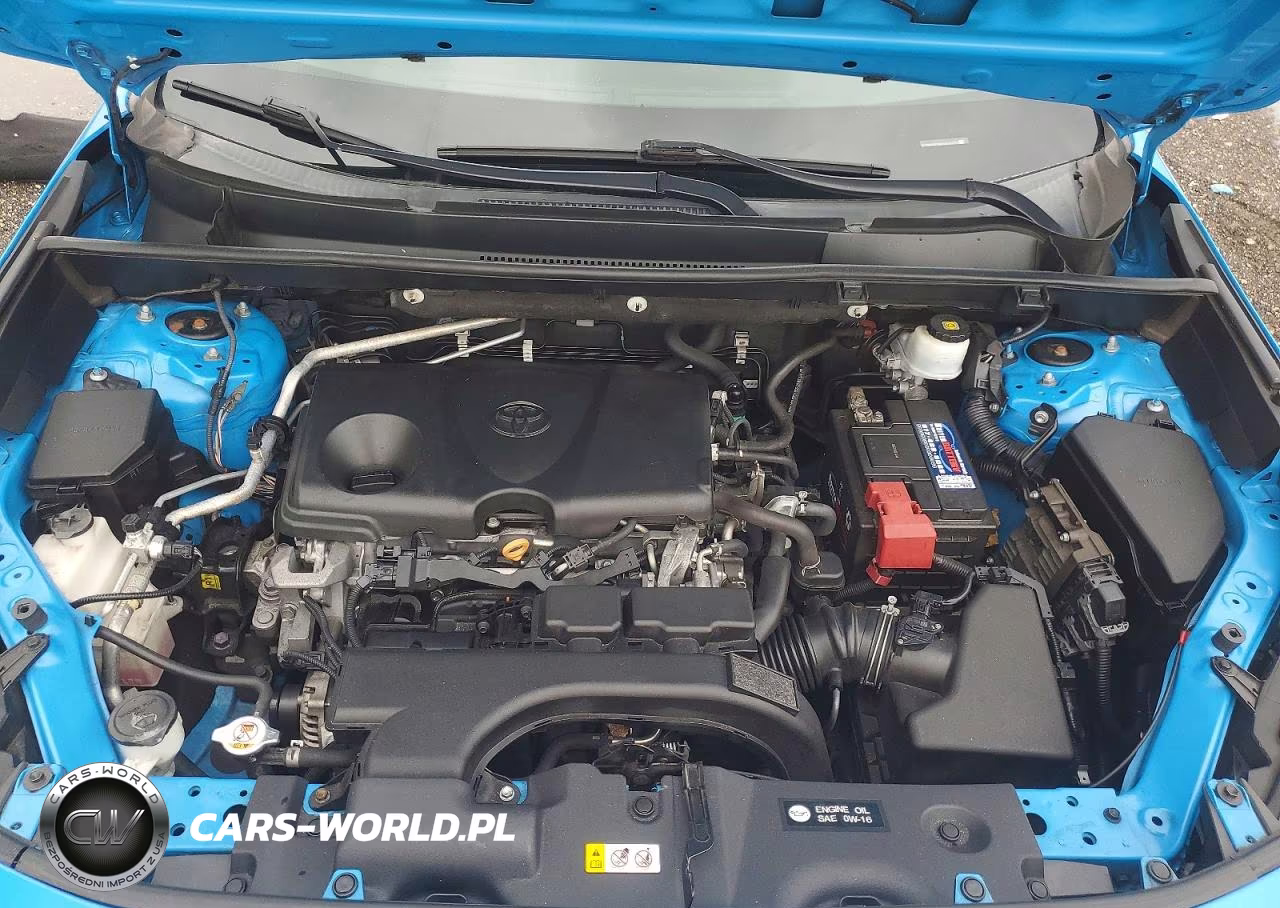 2019 Toyota Rav4 Le VIN:2T3H1RFV5KW036773 - 12