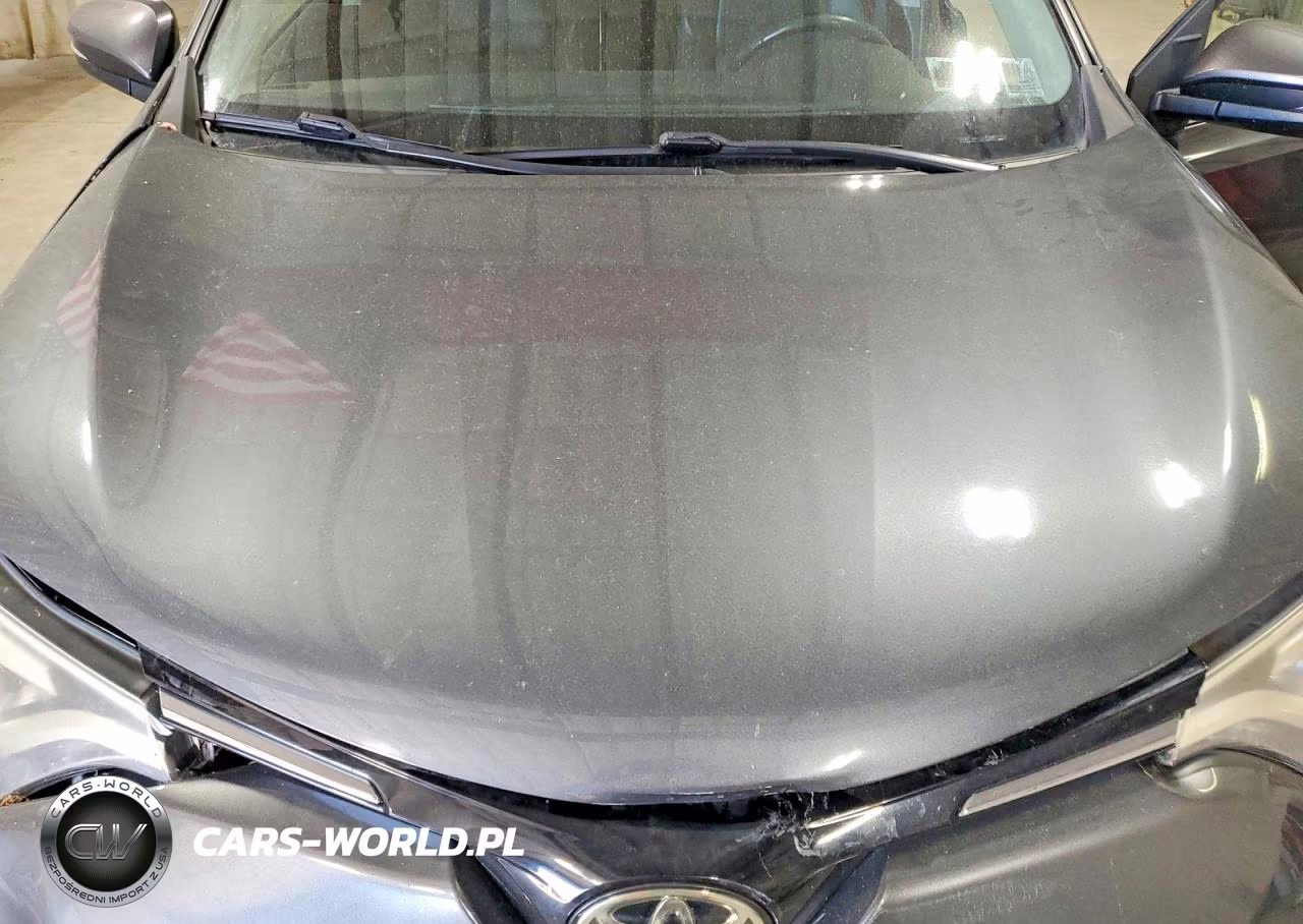 2016 Toyota Rav4 Limited VIN:JTMDFREVXGD189199 - 12