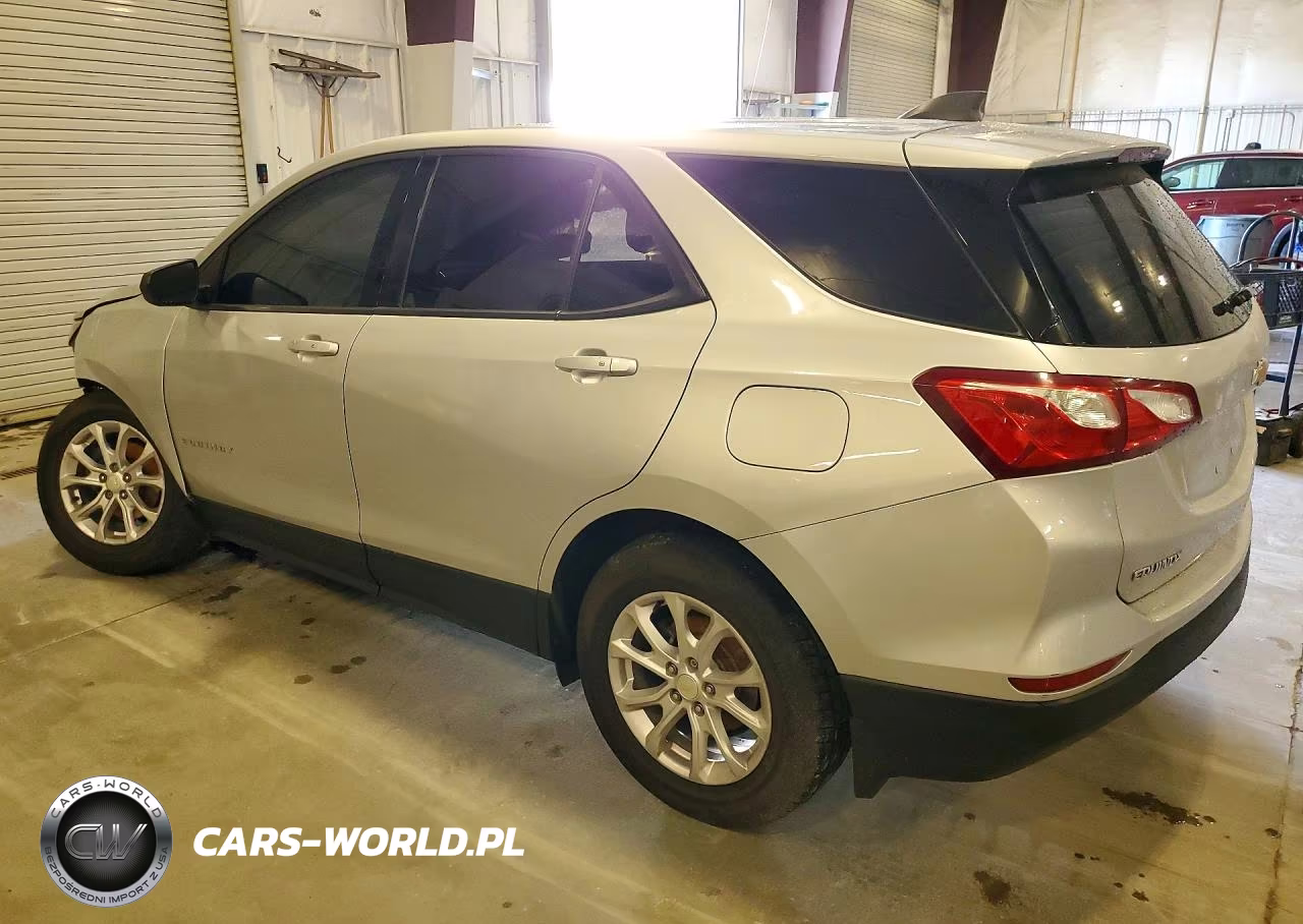 2019 Chevrolet Equinox Ls VIN:3GNAXHEV9KS599244 - 2
