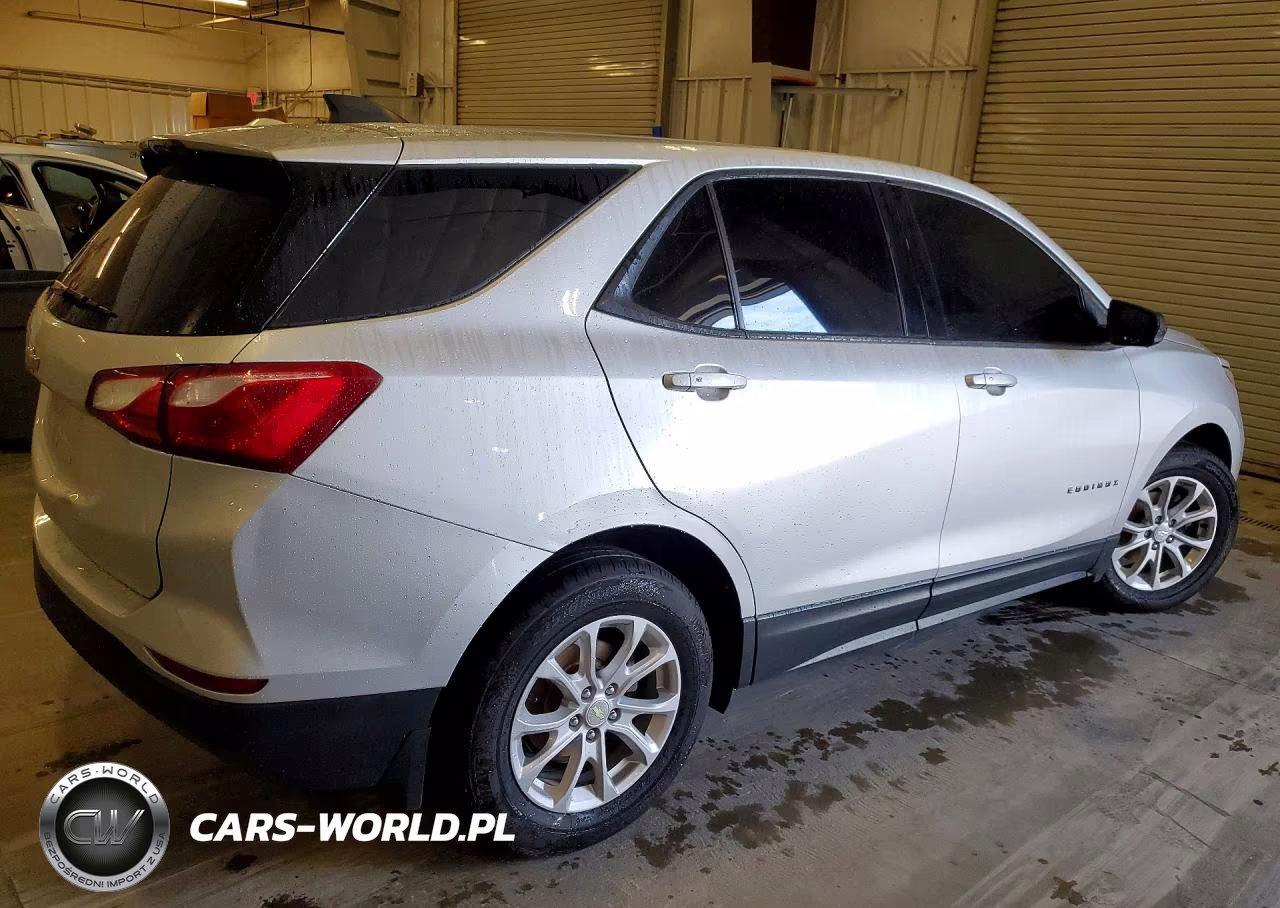 2019 Chevrolet Equinox Ls VIN:3GNAXHEV9KS599244 - 3