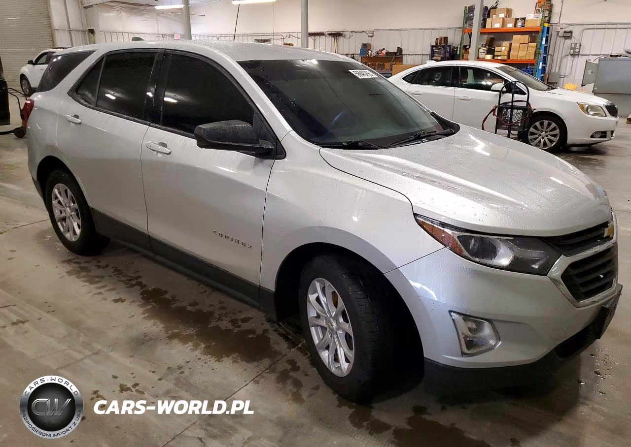 2019 Chevrolet Equinox Ls VIN:3GNAXHEV9KS599244 - 4