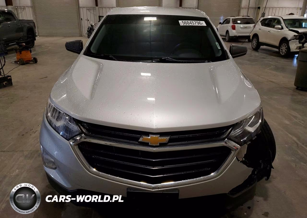 2019 Chevrolet Equinox Ls VIN:3GNAXHEV9KS599244 - 5