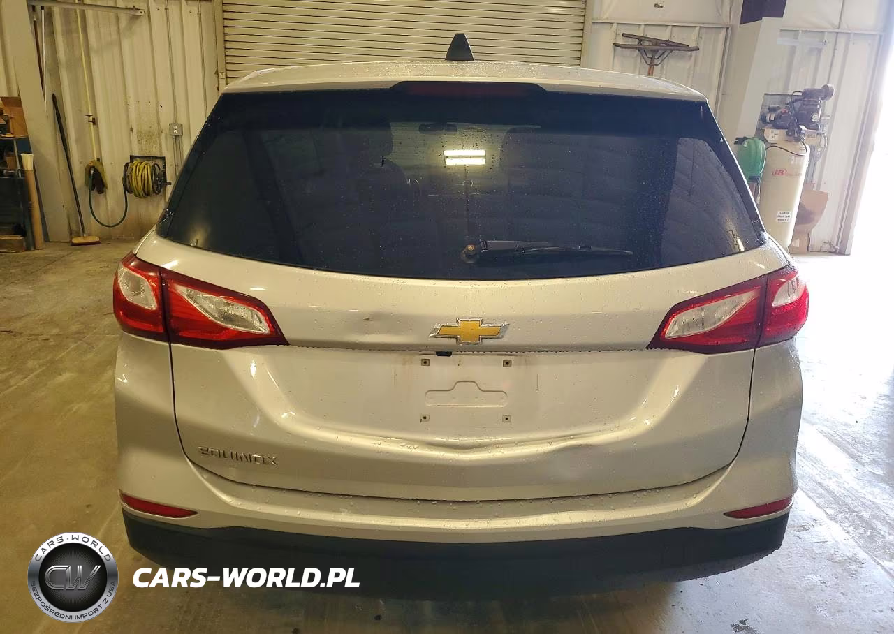 2019 Chevrolet Equinox Ls VIN:3GNAXHEV9KS599244 - 6