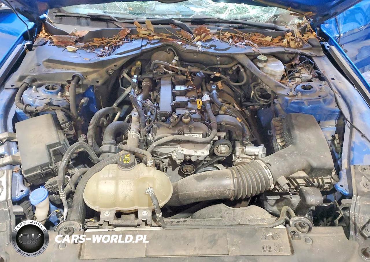 2021 Ford Mustang VIN:1FATP8UHXM5101004 - 11