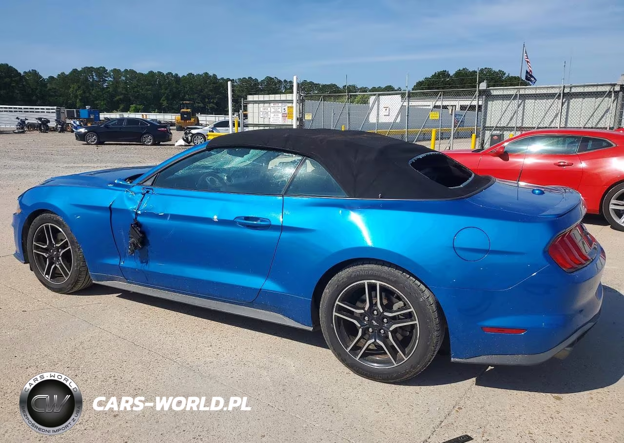 2021 Ford Mustang VIN:1FATP8UHXM5101004 - 2