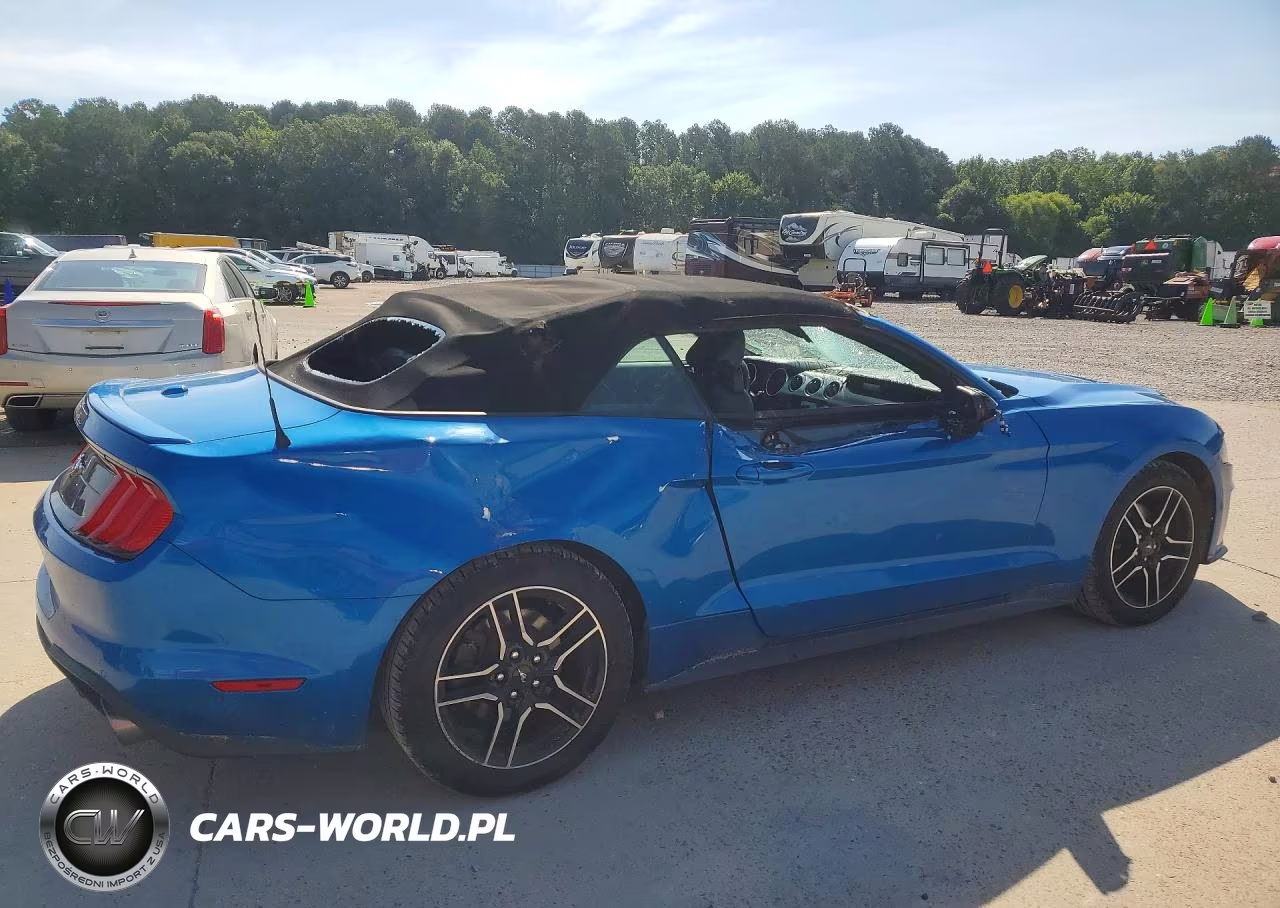 2021 Ford Mustang VIN:1FATP8UHXM5101004 - 3