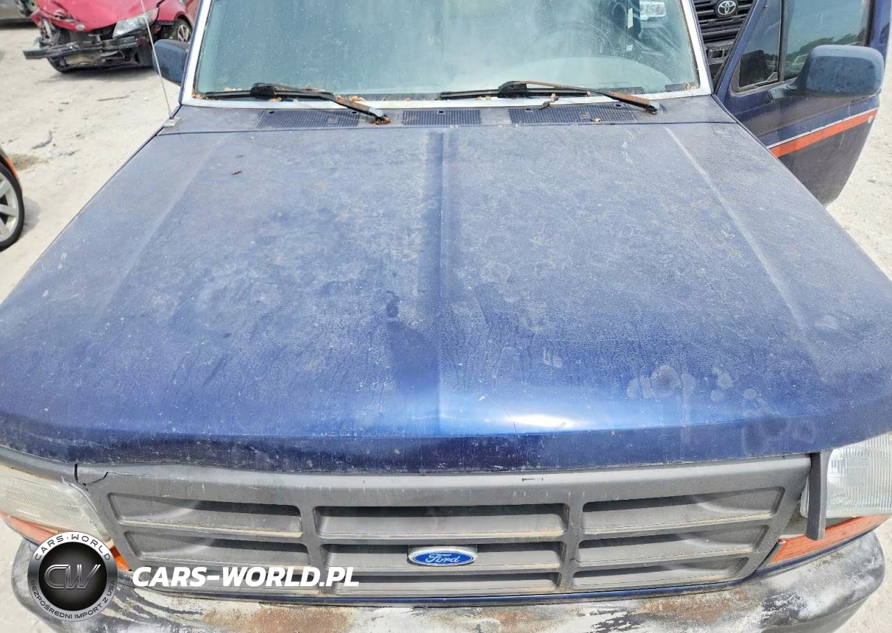 1995 Ford F150 VIN:1FTDF15Y3SNB60609 - 11