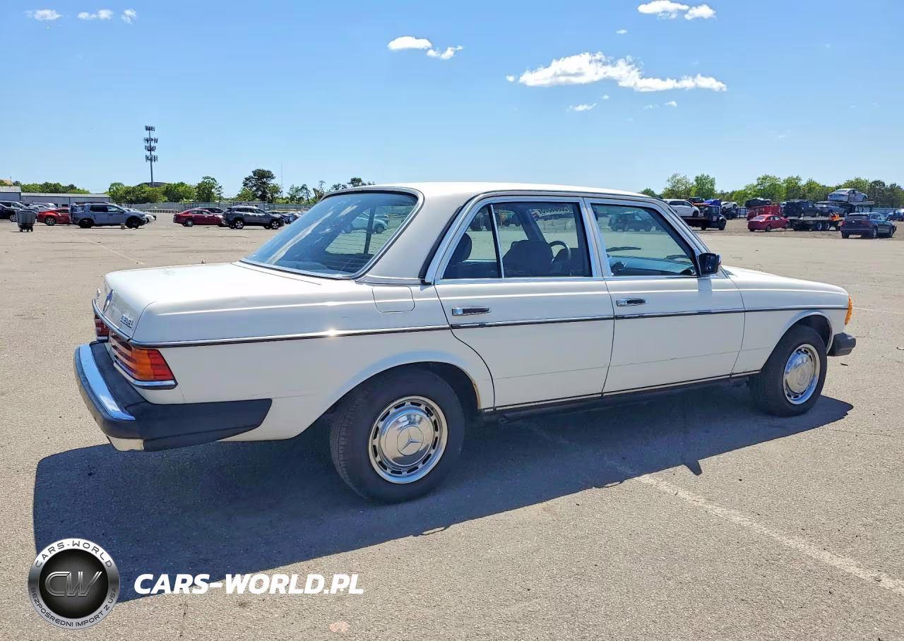 1983 Mercedes-Benz 240 D VIN:WDBAB23A3DB403204 - 3