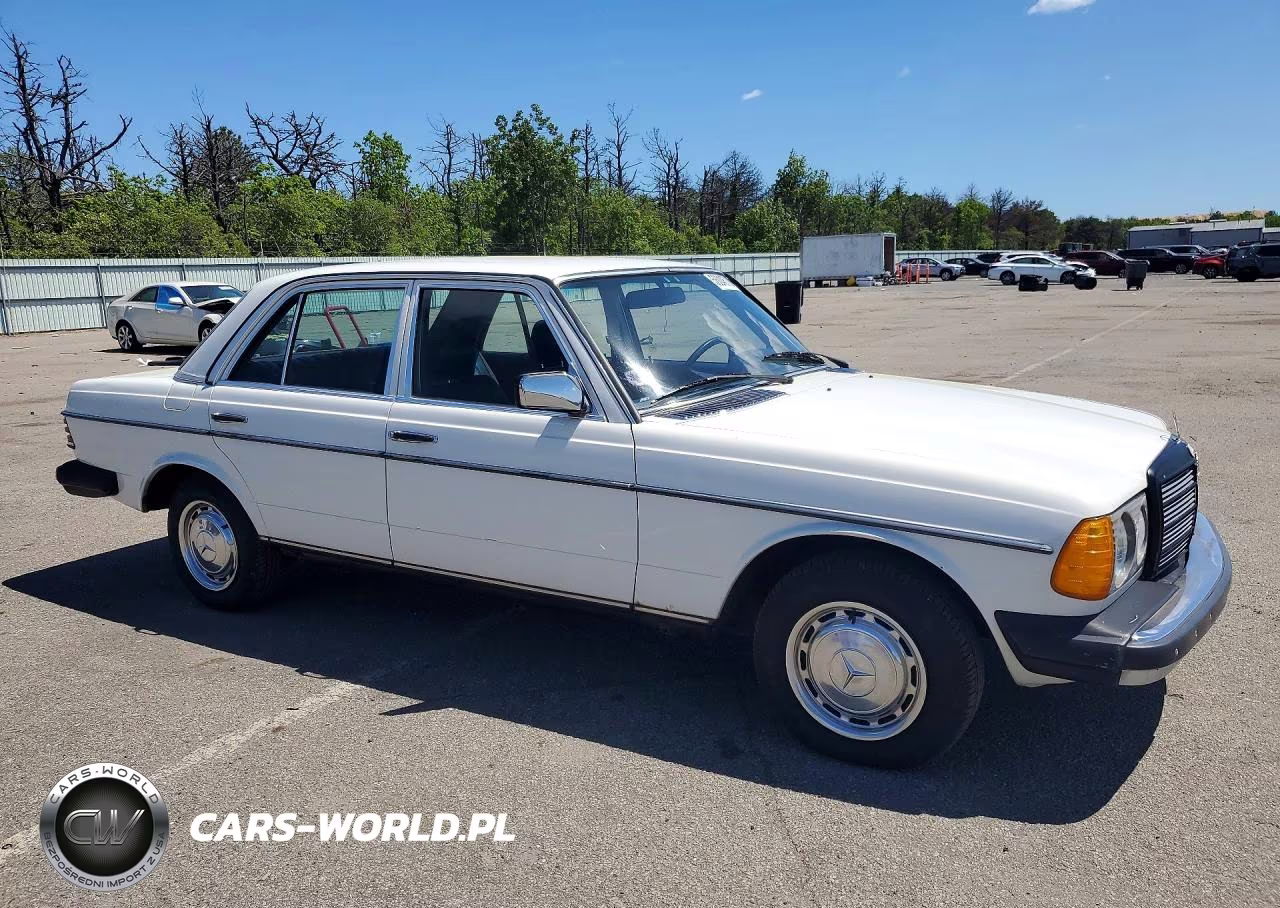 1983 Mercedes-Benz 240 D VIN:WDBAB23A3DB403204 - 4